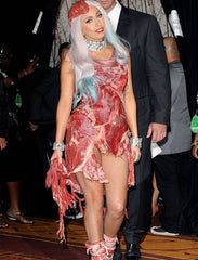 After 5 years Lady Gaga's meat dress still exists, and it looks...odd