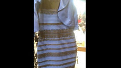 Black/blue or white/gold? Dress debate goes viral