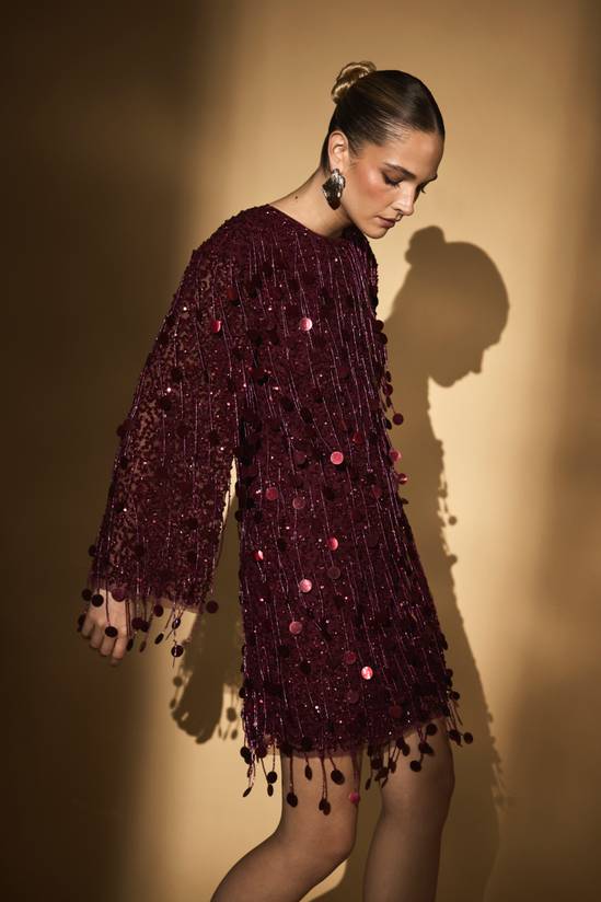 Burgundy Coast Party Sequin Long Sleeve Mini Dress